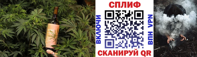 Cannafood конопля  закладка  Балашиха 