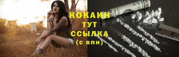 твердый Горнозаводск