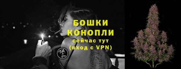 прущие крисы Вяземский