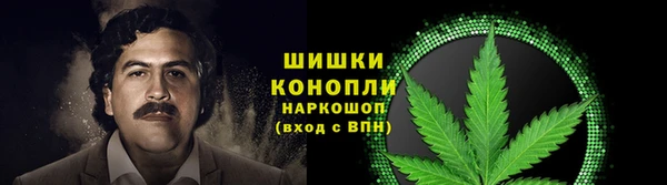 гашик Вязники