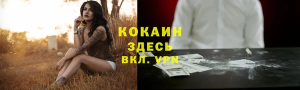 прущие крисы Вяземский