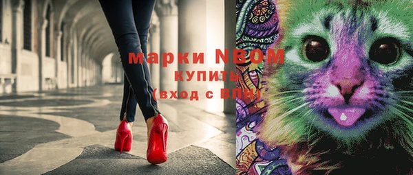 прущие крисы Вяземский